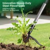 Suchtale Metal Weeder，Stand Up Weed Puller Tool with Long Handle
