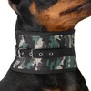 Aoneky Professional Hunting Dog Neck Protector – Durable Bite-Resistant Protective