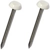 100 x 65mm White Poly Pins Poly Nails