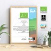 Organic Barley Grass Powder 1kg – Rich in Amino Acids