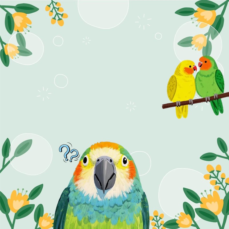 4 Pads Funny Bird Sticky Notes,Funny Animal Sticky Blank Space