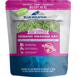 Blue Mountain Hay | Fresh Organic Meadow Hay (40 Ounce) | Mimics Natural Forage | High-Altitude Hay Pet Food for Rabbits, Guinea Pigs, Chinchillas, Hamsters, and Other Small Pets