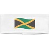 'Waving Jamaican Flag' Beauty Head Band/Hair Band (HB00029920)