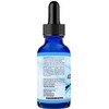 Absonutrix Acetyl L-Carnitine, 593mg per Serving, 200 Potent Servings, Quick