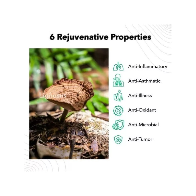 Lignosus | Natural Lung Health Support Supplement - 30 Sachets