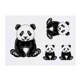 Azeeda 4 x 'Pandabärjunges sitzt' Temporäre Tattoos - Wasserfest, Hautfreundlich & Ungiftig · Transfers in Verschiedenen Größen (TO00070826)