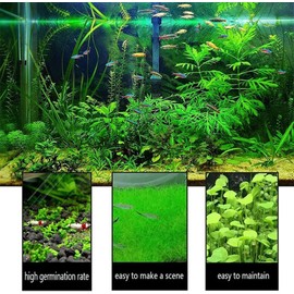 5 Pack Aquarium Plant S.e.e.d Set, not Artificial plasticl Plant. Real Grass Tank Decor Replacement for Resin or Plastic Grass NO：9527-5