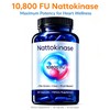 OrganicNattokinase 10800 FU,Vegan,Gluten Free,Non-GMO,60 Count (1pc)