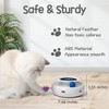 ORSDA 2in1 Interactive Toys for Indoor Cats, Timer Auto On/Off,