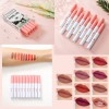 10pc Matte Long-lasting Lip Gloss Set