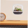 Levemolo Indoor Hanging Planters Wall-Mounted Flower Pots Space-efficient Decor for