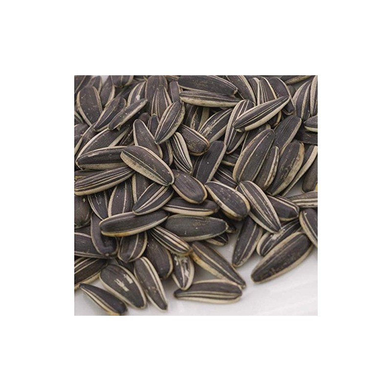 ChaCha Roasted Sunflower Seeds - Plain (250G)