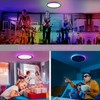 2Pack 13Inch Magic RGB Flush Mount Led Ceiling Light,34W 3400LM