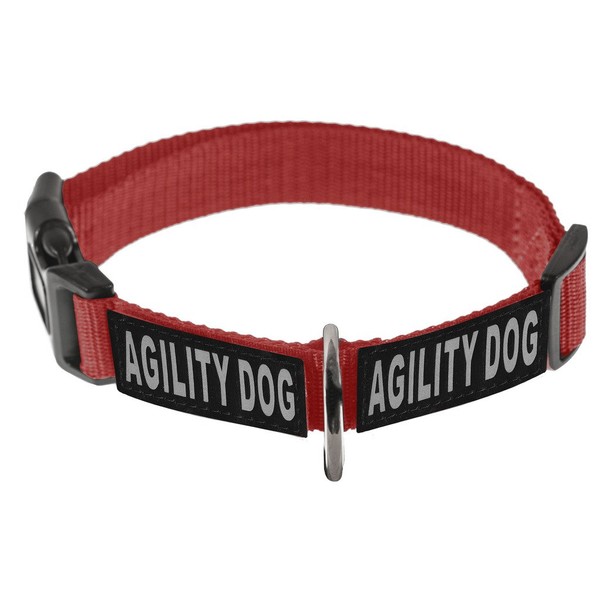 Dogline Omega Nylon Collar for Dogs with 2 Removable Agility Dog Patches (Red, 20"-26")