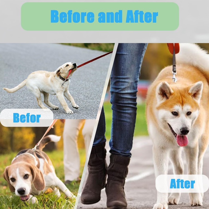 No Pull Dog Adjustable Collar with Buckle for Small Medium