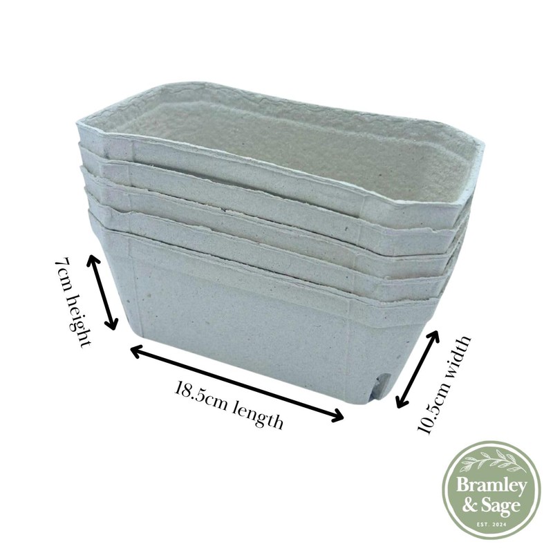 Bramley & Sage 500g Biodegradable Fibre Fruit Punnets (Various Quantities)