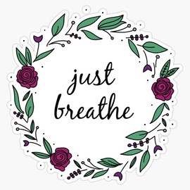 Magnet Just Breathe Magnet Bumper Sticker Car Magnet Flexible Reuseable Magnetic Vinyl 5"