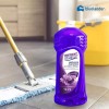 Instant Clean Kit De Lavatrastes Limón Y Limpiador Lavanda Instant