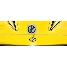 DCS 1974 Plymouth Road Runner GTX Hood Extension Decal NEW USA