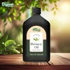 Organic Zing Bhringraj (Eclipta alba) Oil | Pure & Natural