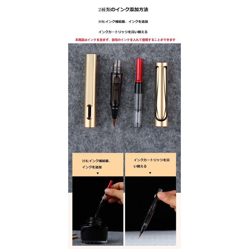 Isshinsai Fountain Pen Re-inkable, Screw Type, Black Brush Pen, Fine