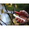 101 岡 恒 Pruning Scissor Unique 180 mm
