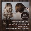 Adrence Fontaine AD&F Wig, Shampoo, Made in Japan, Wig Specialty