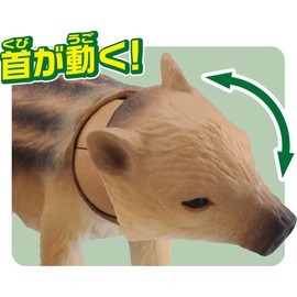 アニア 干支アニア 亥 (イノシシ)