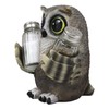 Ebros Gift Whimsical Owlet Baby Owl With Big Round Eyes