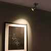 Aisilan Black and Gold LED Dimmable Directional Ceiling Spotlight Indoor