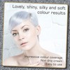 Smart Beauty | Metallic Silver Permanent Hair Dye |Professional Salon