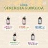 Tintura De Doble Extracción De Hongo Melena De León 50ml