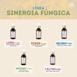 Tintura De Doble Extracción De Hongo Melena De León 50ml                                                                                              