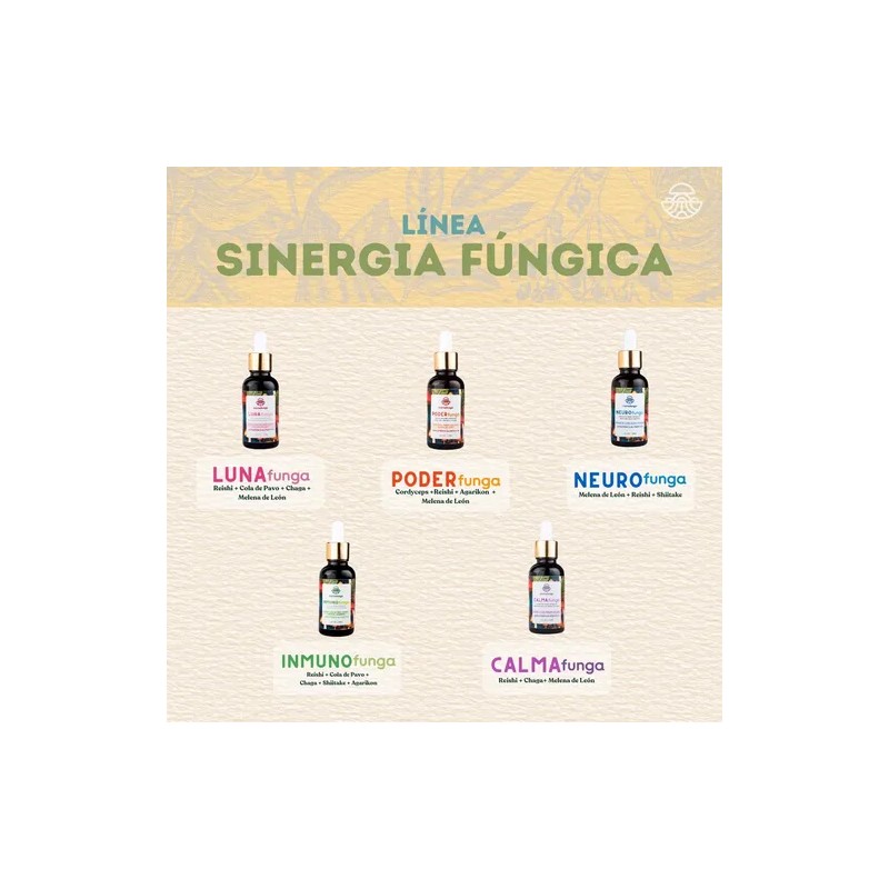 Tintura De Doble Extracción De Hongo Melena De León 50ml