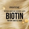 Pantene Miracles Biotin Moisture Renewal Daily Intensive Conditioner 350ml