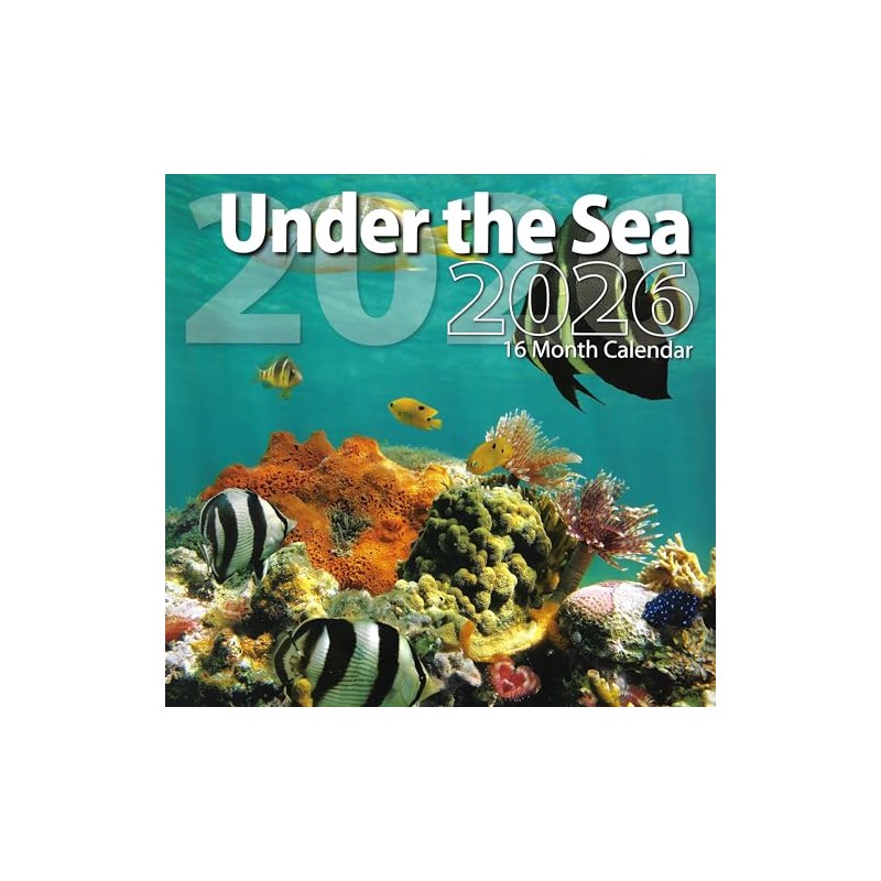 2026 Under the Sea Full Size Wall Calendar for Planning,