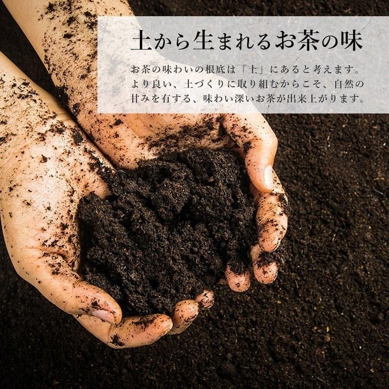 Tea Wholesaler's Super Delicious Kagoshima Tea Kagoshima Tea Japanese Tea