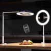 Ring Light with Overhead Phone Mount, 10" Selfie Light with