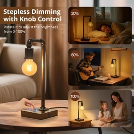 Industrial Table Lamp for Bedroom, Fully Dimmable Bedside Lamp with USB C+A Ports, Vintage Lamp with Water Pipe Design, Steampunk Table Lamps for Living Room, Dorm, Office, 6W LED Bulb Included