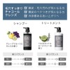 Botanist Botanical Treatment (Charcoal Cleans), 16.9 oz (490 g)