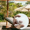 3 Pieces Table Umbrella Hole Ring with Cap Umbrella Hole