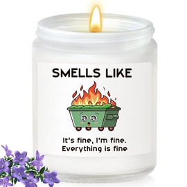 Dumpster On Fire Inspirational Candles for Women, I'm Fine Everything is Fine Funny Lavender Aromatherapy Encouragement Gifts for Women Family Friends Coworker Birthday Easter Cheer Up Gifts