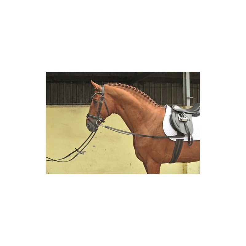 HKM 1873 Reins, Auxiliary Reins, Cowhide Leather, Pony, 4000315562572