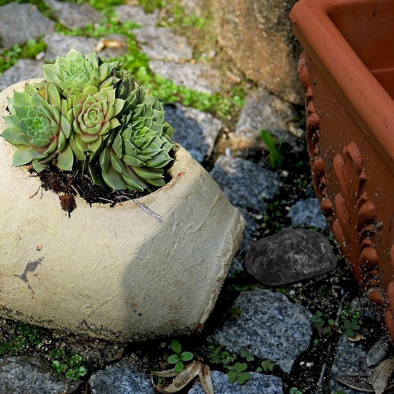 Quixotical Stone with secret compartment, key hiding place for outdoors,