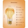 EDISHINE Vintage LED Edison Bulbs 8W, 60W Equivalent, 2200K Amber
