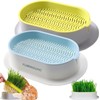 YUMINGUHC 2Pcs Cat Grass Planter (No Seeds Included) Wheatgrass Planting