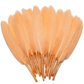 120pcs Goose Cochettes Feather 10-15cm Bulk Natural for Wedding Party Halloween Decorations DIY Cosplay Gothic Costumes CraftsColor: Champagne, Feather Size (L x W): 4-6Inch/120Pcs