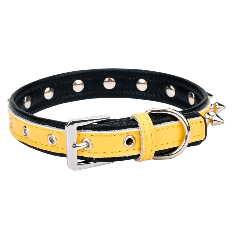 Aolove Spiked Studded Padded Leather Pet Collars for Cats Puppy