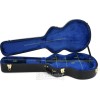 Ibanez AG100C, AG95 & AG75 Hollowbody Guitar Case