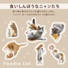 [2024] Wpc. [Vinyl Umbrella] Masayuki Oki x Wpc. Paw Plastic